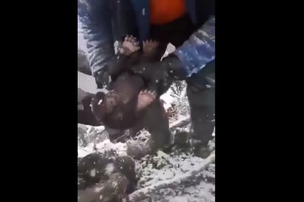 Négy kismackót rángattak ki a barlangból