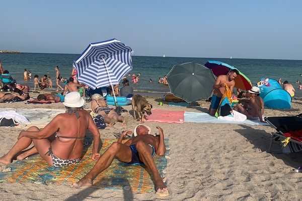 Nincs koleraveszély a Fekete-tenger partjainál