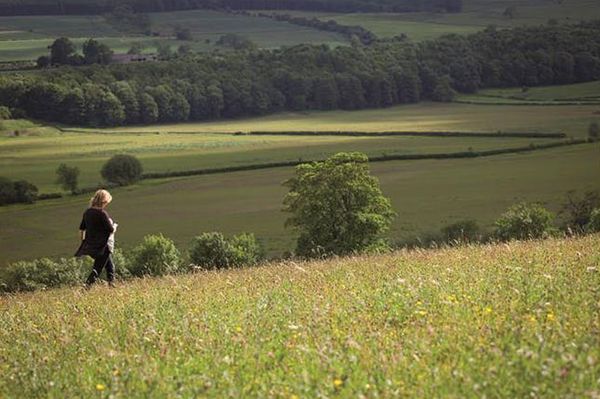 Nem hagy magunkra a nyár