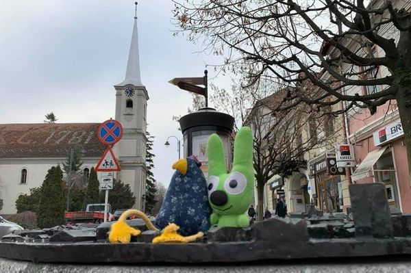 Ugrottunk, mint vak tyúk a karikarágóra