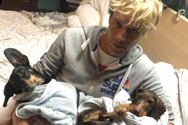 Szily László: csodálom azokat, akik gombászás helyett újságot olvasnak