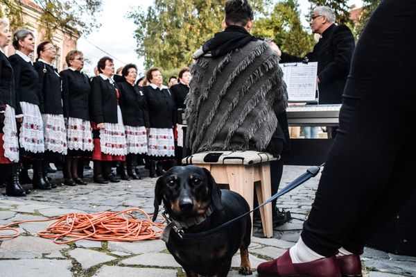 Dehát az már nagyon rég volt, mama!