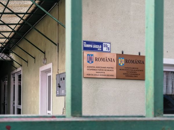 Munkanélküliség 2020: az igazi változást a nőknél kell keresni
