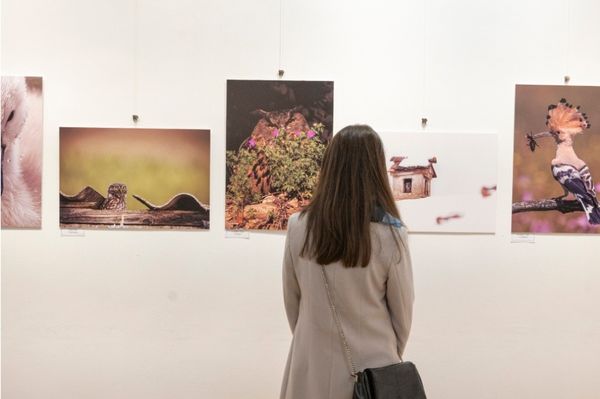 A Föld Napja lóg majd az oszlopos teremben