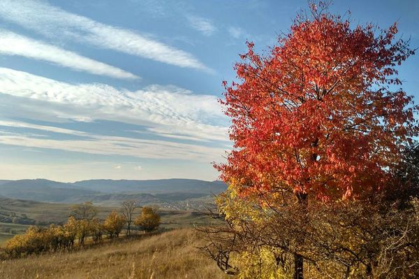 Visszatapsoltuk a nyarat