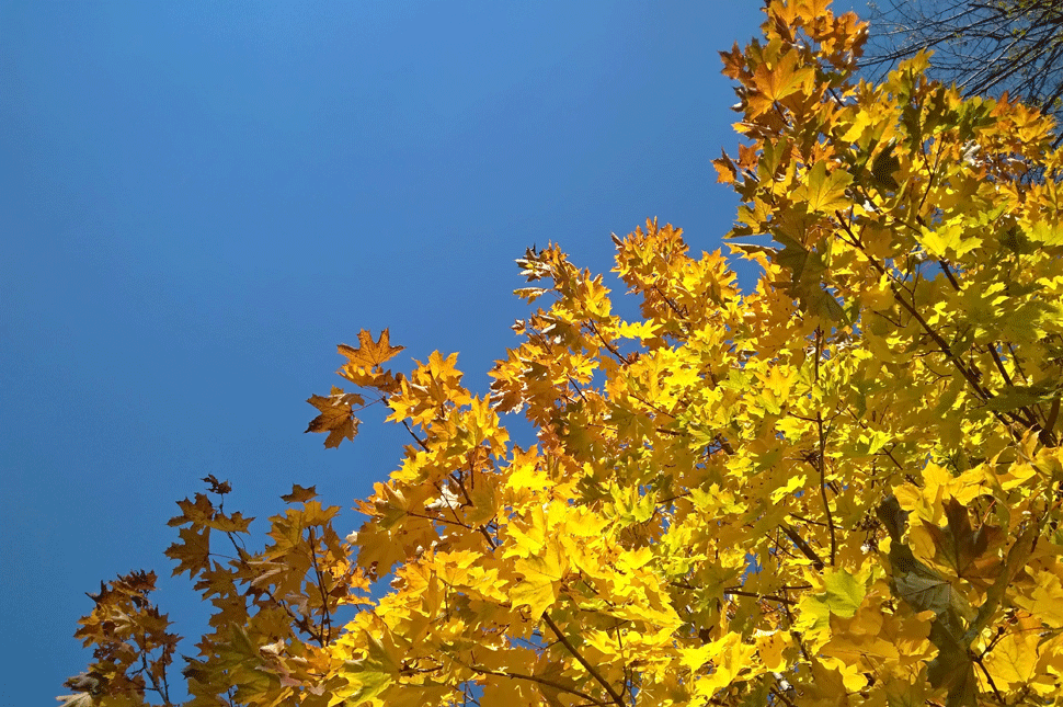 Változnak a szabályok