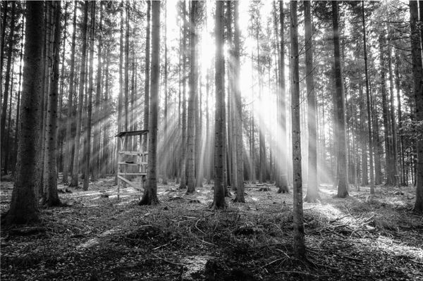 Öngyilkos lett a férfi, aki meglőtte magát