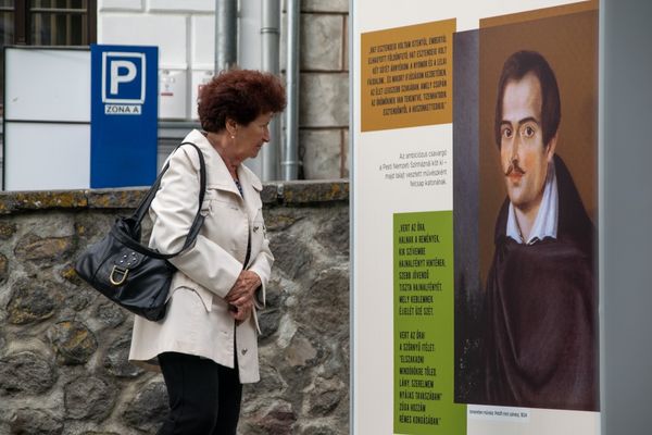 Te vajon azt a Petőfit látod?