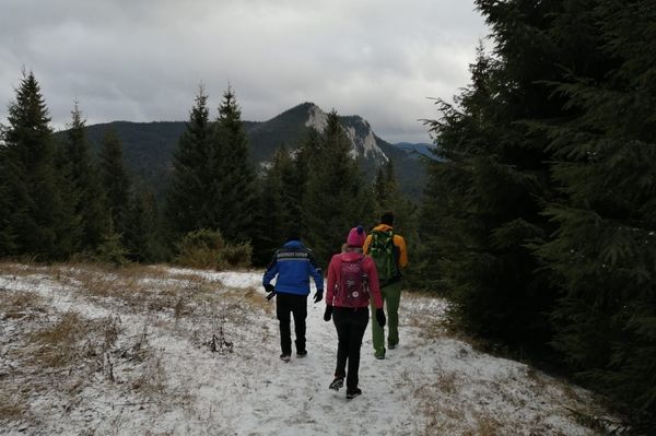 A turisták megúszták, a pásztor nem
