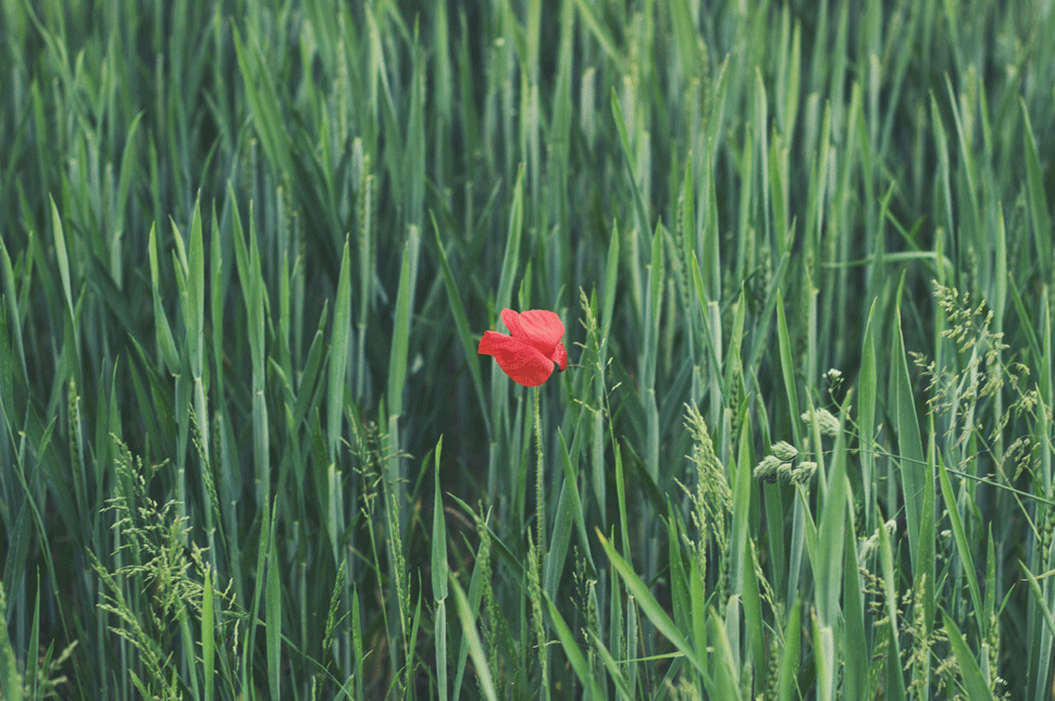Kettővel nőtt a piros zónás megyék száma