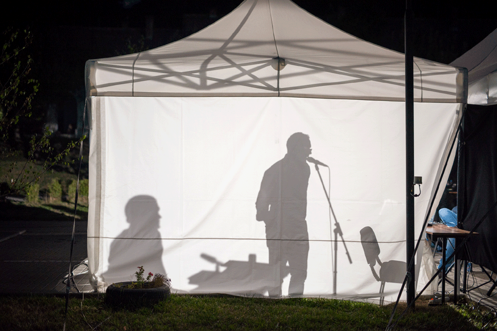 Hogyan kerül kilenc zsiráf az udvarhelyi dzsungelbe?