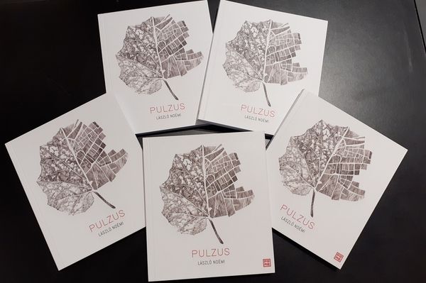 Hogy kicsit okosabban bukkanjunk felszínre a saját történetünkben