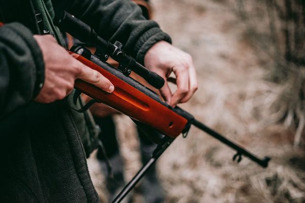 Fegyvert koboztak el egy férfitól