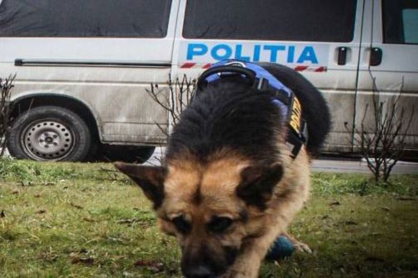 Eltűnt egy idős személy