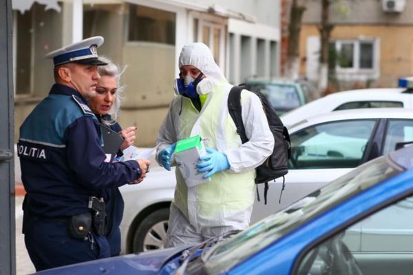 Őrizetbe vették a Temes megyei féregirtó cég tulajdonosát