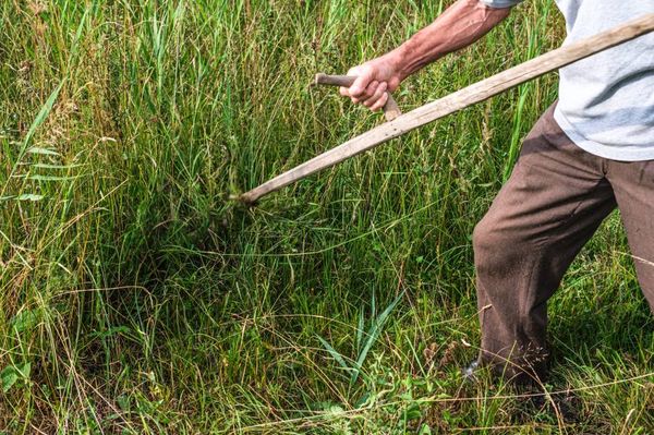 Mások nyírhatják a füvet az iskolák környékén
