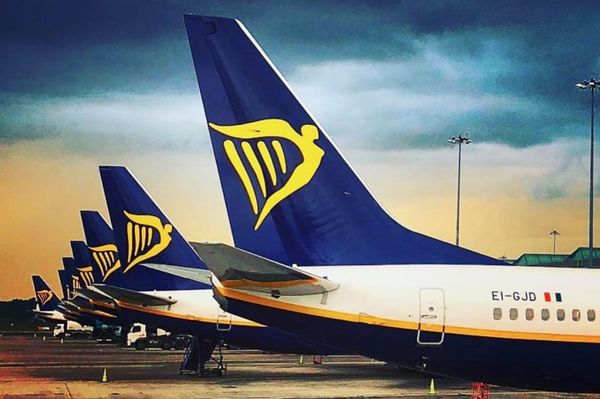 Elférsz egy kistáskában?