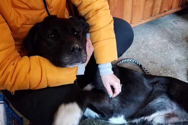 SándORR keresi az igazit