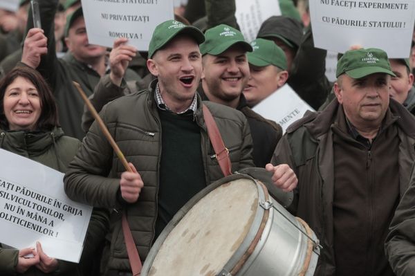 Tüntetnek az erdészek