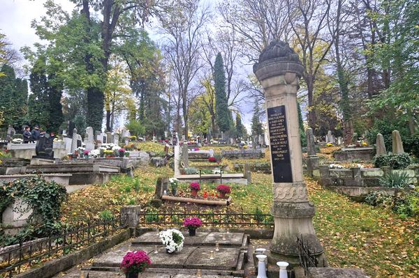 Ne akkor vegyük észre, mikor már kidőltek