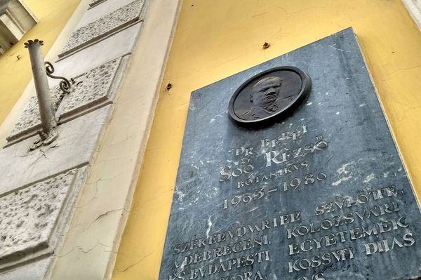 A város „legnagyobb” tudósa is bekerült az udvarhelyi értéktárba