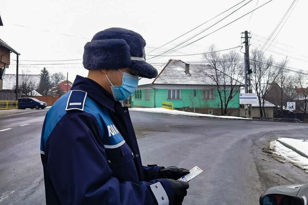 Nem lopták a fát, mégis elkobozták tőlük