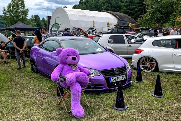 Ilyen verdákat nem láthatsz nap mint nap