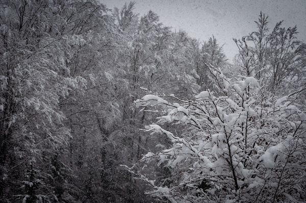 Erős viharokra figyelmeztetnek