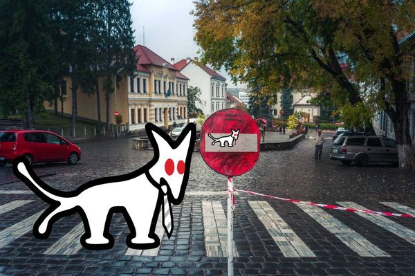 Udvarhelyen a Kétfarkú Kutyapárt jelöltje