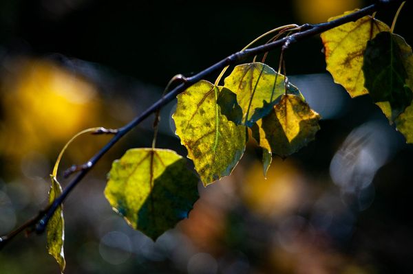 Előkerül a téli kabát október végére