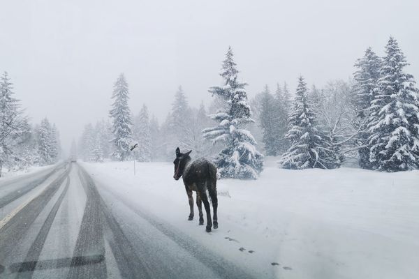 Csúszósak, de járhatók az utak a megyében