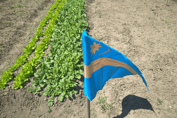 Ez itt Székely föld!