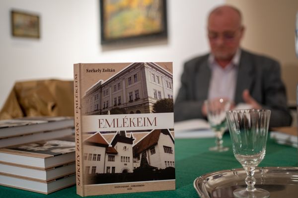 Mit talált a régész Udvarhelyen?