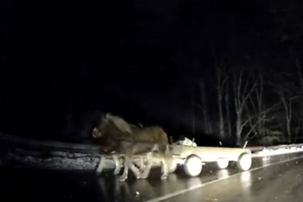 Ittas szekerest ütöttek el (videó)