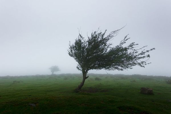 Felerősödik a szél