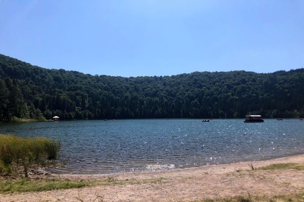 Kitiltják a Szent Anna-tóról azokat, akik medvét etetnek