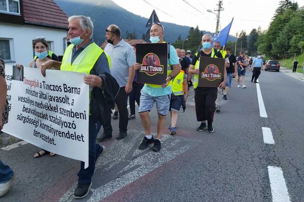 Tánczos: kész van a medvetörvény