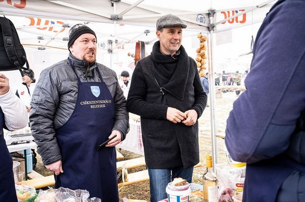 Elvették a jogsiját a Hargita megyei szenátornak