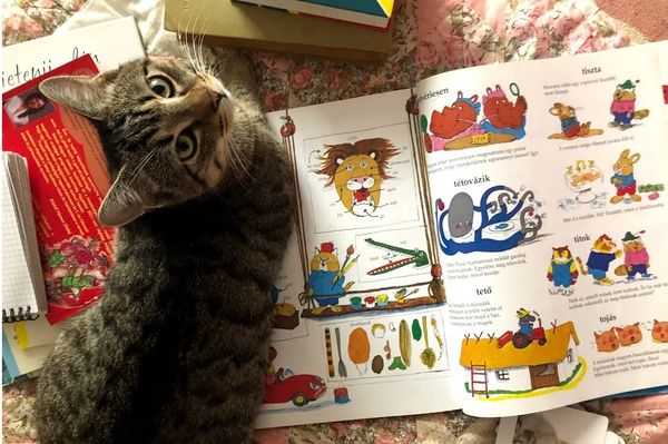 Továbbra is fizetik, ha otthon maradsz a gyerekkel