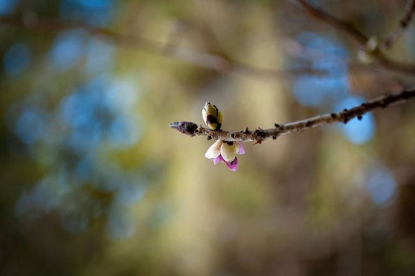 Napos, meleg időnk lesz