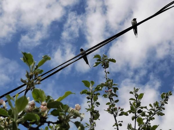 Viszlát, mínuszok!