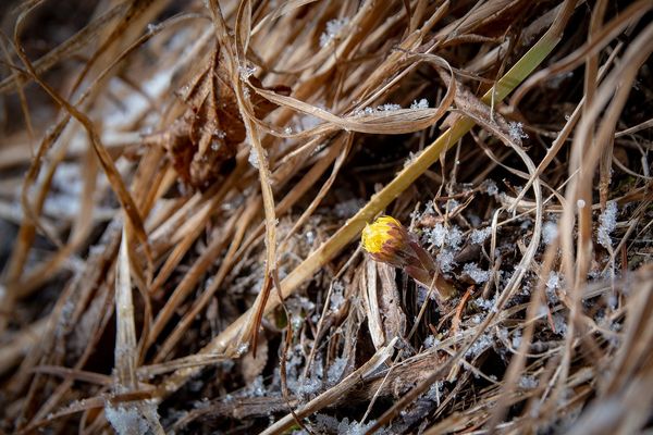 A nagy hideg után beköszönthet a tavasz