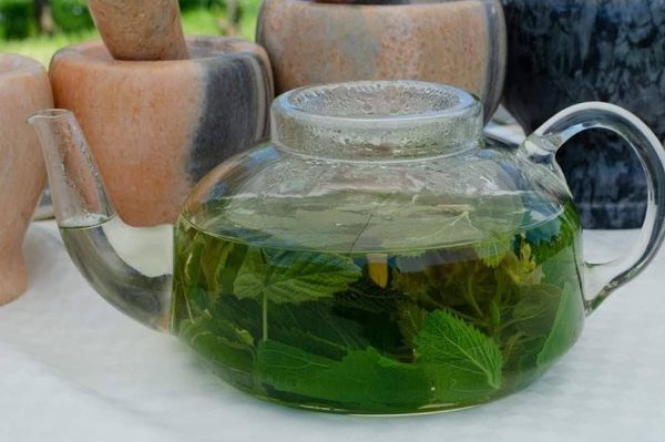 Gyógynövénytúra indul Zetelakáról