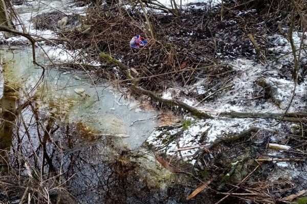 50.000 lejre büntettek egy tejfeldolgozó egységet