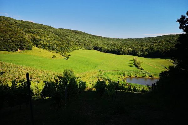 A rejtélyes völgy titka