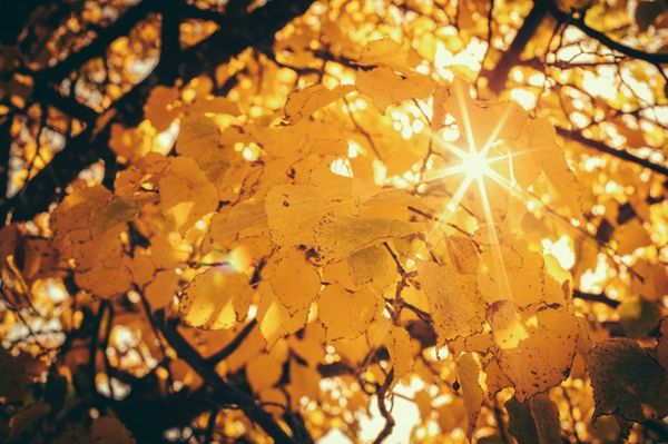 Melegrekord dőlt meg szombaton Romániában