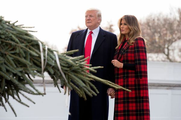 A győztes karácsonyfa a Fehér Házban