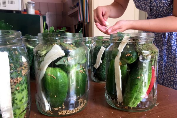 Hogyan éljük túl az uborkaszezont?