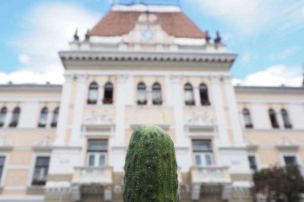 Ha nem borkánba, hanem a szádba tennéd!