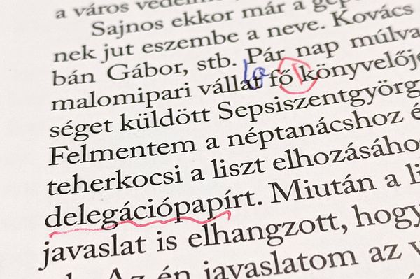 Akarattal hemzseg a hibáktól Ványolós forradalmi könyve
